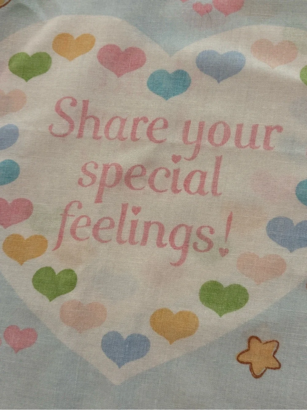 Care Bears Pillowcase Vintage 1980's Love-a-Lot Bear Bedtime Bear Pink Blue